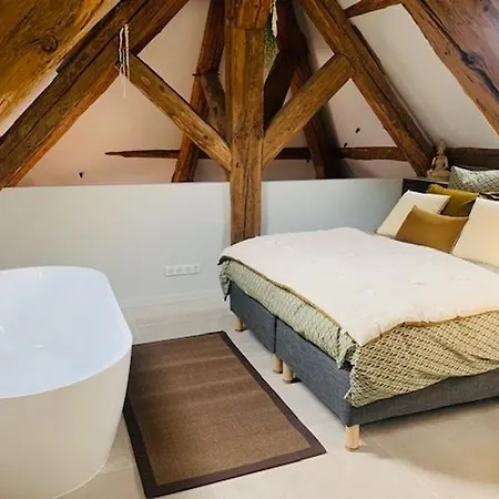 Loft Moderne Au Charme Ancien, Climatise, Pres De La Place Stanislas - Fr-1-584-352 Apartmán Nancy