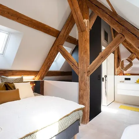 Apartmán Loft Moderne Au Charme Ancien, Climatise, Pres De La Place Stanislas - Fr-1-584-352 Nancy