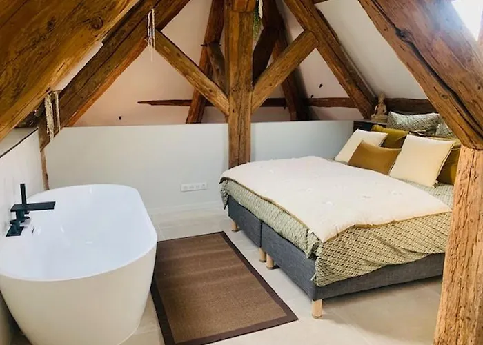 Loft Moderne Au Charme Ancien, Climatise, Pres De La Place Stanislas - Fr-1-584-352 Appartement Nancy